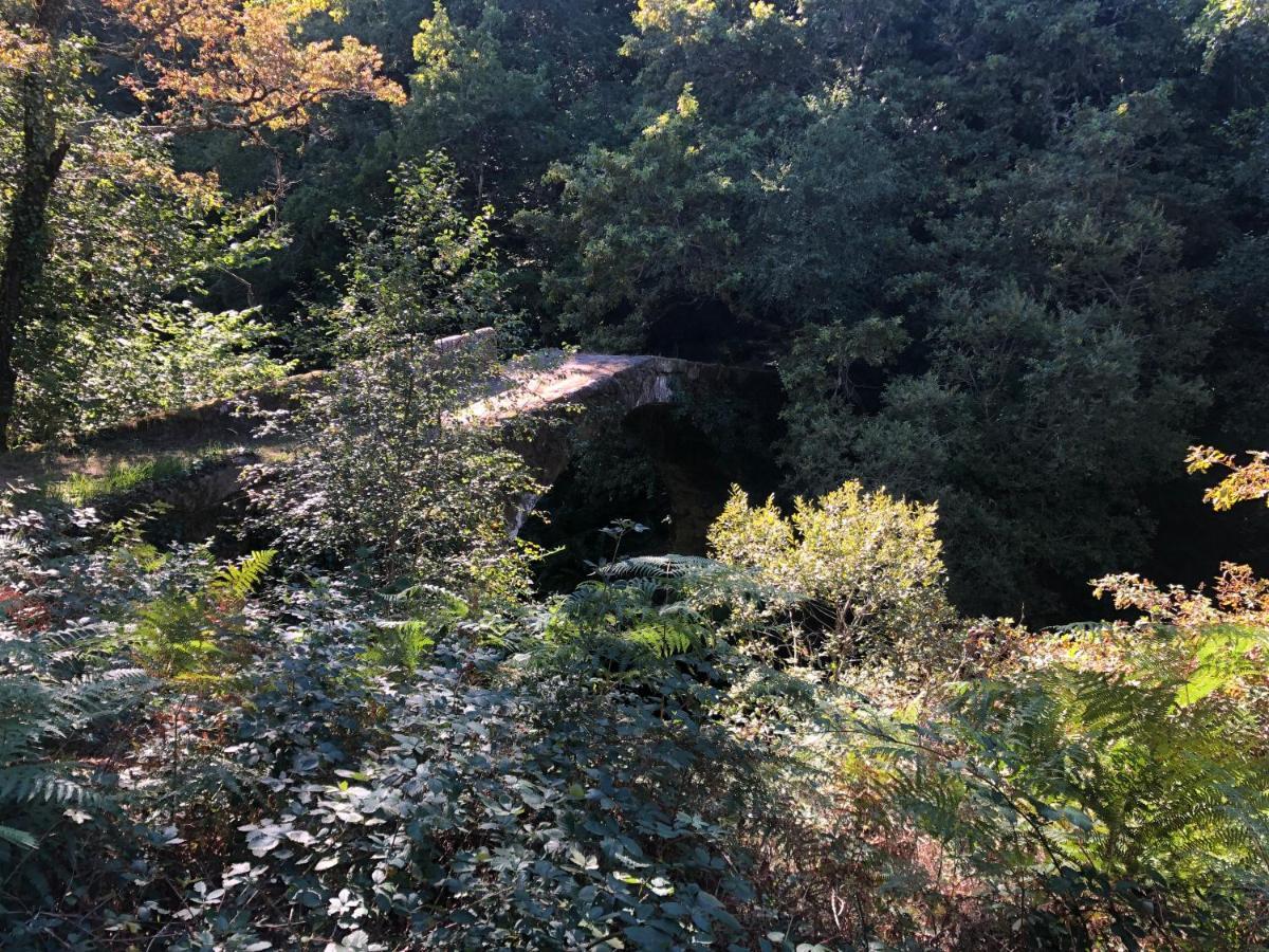 Rectoral De Fofeゲストハウス エクステリア 写真